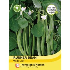 Runner Bean White Lady Runner Bean White Lady
