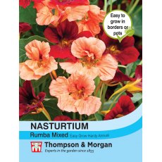 Nasturtium Rumba Mixed Nasturtium Rumba Mixed