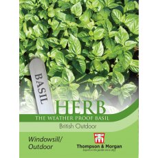 Herb Basil British Outdoor Herb Basil British Outdoor