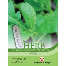 Herb Wild Rocket Wildfire Herb Wild Rocket Wildfire
