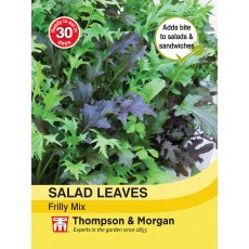 Salad Leaves - Frilly Mix Salad Leaves - Frilly Mix