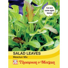 Salad Leaves - Mesclun Mixed Salad Leaves - Mesclun Mixed