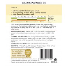 Salad Leaves - Mesclun Mixed Salad Leaves - Mesclun Mixed