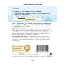 Lavatera Twins Hot Pink Lavatera Twins Hot Pink