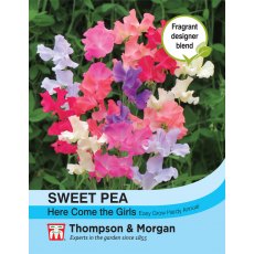 Sweet Pea Here Come the Girls Sweet Pea Here Come the Girls