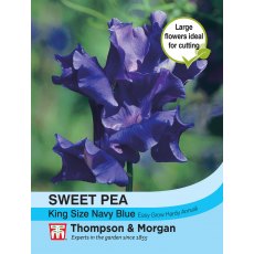 Sweet Pea King Size Navy Blue Sweet Pea King Size Navy Blue