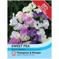 Sweet Pea Scent Infusion Sweet Pea Scent Infusion