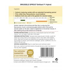 Brussels Sprout Brilliant F1 Hybrid Brussels Sprout Brilliant F1 Hybrid