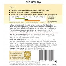 Cucumber Diva Cucumber Diva