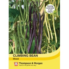 Climbing Bean Mixed Climbing Bean Mixed