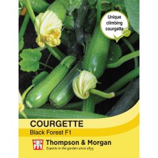 Courgette Black Forest F1 Hybrid Courgette Black Forest F1 Hybrid