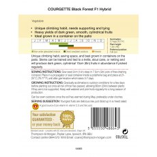 Courgette Black Forest F1 Hybrid Courgette Black Forest F1 Hybrid