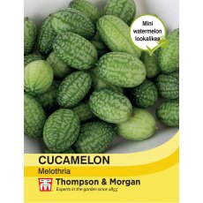 Cucamelon Cucamelon