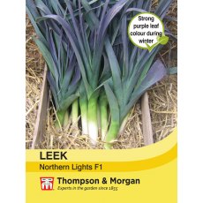Leek Northern Lights F1 Hybrid Leek Northern Lights F1 Hybrid