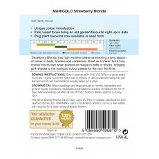 Marigold Strawberry Blonde (French) Marigold Strawberry Blonde (French)