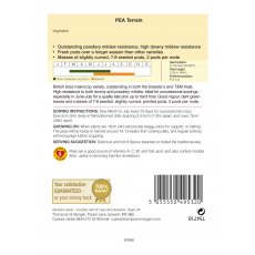 Pea Terrain Pea Terrain