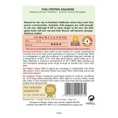 Pepper Chilli Anaheim Pepper Chilli Anaheim