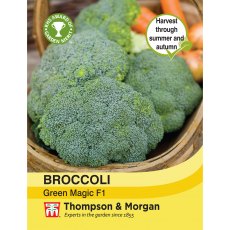 Broccoli Green Magic F1 Hybrid Broccoli Green Magic F1 Hybrid