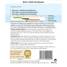 Busy Lizzie Worldbeater Busy Lizzie Worldbeater