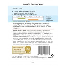 Cosmos Cupcakes - White Cosmos Cupcakes - White