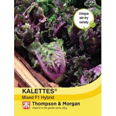 Kalettes® Garden Mix F1 Hybrid Kalettes® Garden Mix F1 Hybrid