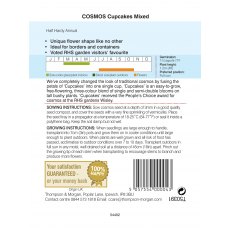 Cosmos Cupcakes - Mixed Cosmos Cupcakes - Mixed