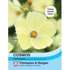 Cosmos Lemonade Cosmos Lemonade