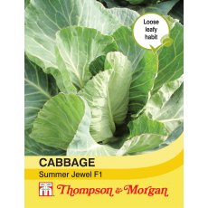 Cabbage Summer Jewel F1 Hybrid Cabbage Summer Jewel F1 Hybrid