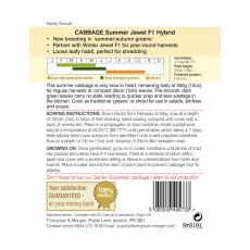 Cabbage Summer Jewel F1 Hybrid Cabbage Summer Jewel F1 Hybrid