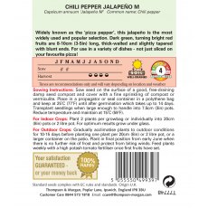 Pepper Chilli Jalapeno M Pepper Chilli Jalapeno M