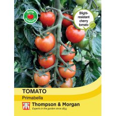 Tomato Primabella Tomato Primabella