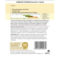 Cabbage Chinese Scarvita F1 Hybrid Cabbage Chinese Scarvita F1 Hybrid