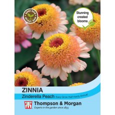 Zinnia elegans Zinderella Peach Zinnia elegans Zinderella Peach