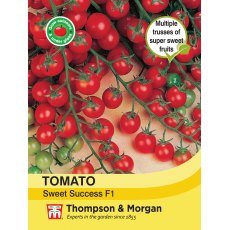 Tomato Sweet Success F1 Hybrid Tomato Sweet Success F1 Hybrid