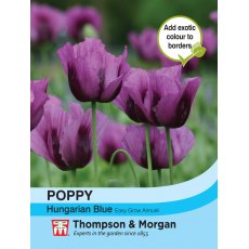 Poppy Hungarian Blue Poppy Hungarian Blue