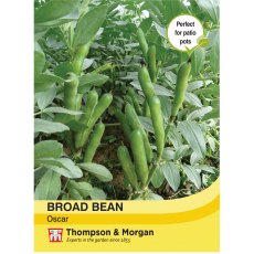 Broad Bean Oscar Broad Bean Oscar
