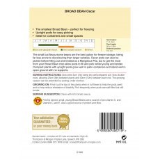 Broad Bean Oscar Broad Bean Oscar