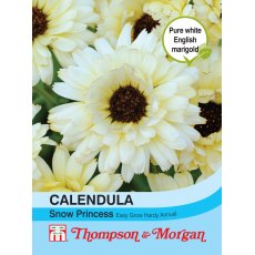 Calendula Snow Princess Calendula Snow Princess