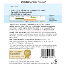 Calendula Snow Princess Calendula Snow Princess