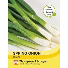 Spring Onion Totem Spring Onion Totem