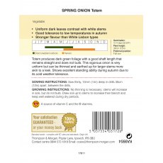 Spring Onion Totem Spring Onion Totem