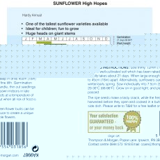 Sunflower High Hopes Sunflower High Hopes