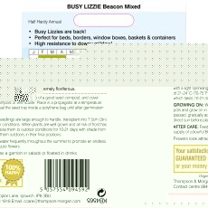 Busy Lizzie Beacon Mixed Busy Lizzie Beacon Mixed