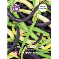 Dwarf French Bean Colour Mix Dwarf French Bean Colour Mix