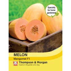 Melon Mangomel F1 Melon Mangomel F1