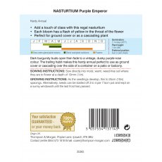 Nasturtium Purple Emperor Nasturtium Purple Emperor