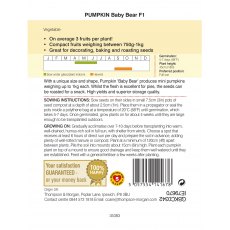 Pumpkin Baby Bear F1 Pumpkin Baby Bear F1