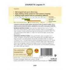 Courgette Lingodor F1 Courgette Lingodor F1