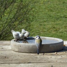 Concrete Bird Bath Concrete Bird Bath