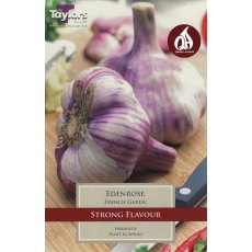 GARLIC - FRENCH 'Eden Rose' GARLIC - FRENCH 'Eden Rose'